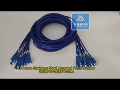 12F Core in acciaio inossidabile cordone di patch blindato SC-SC-blu PVC