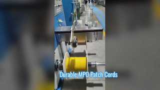 Presenta per te il cavo patch MPO a 8 core e 12 core con treccia in PET