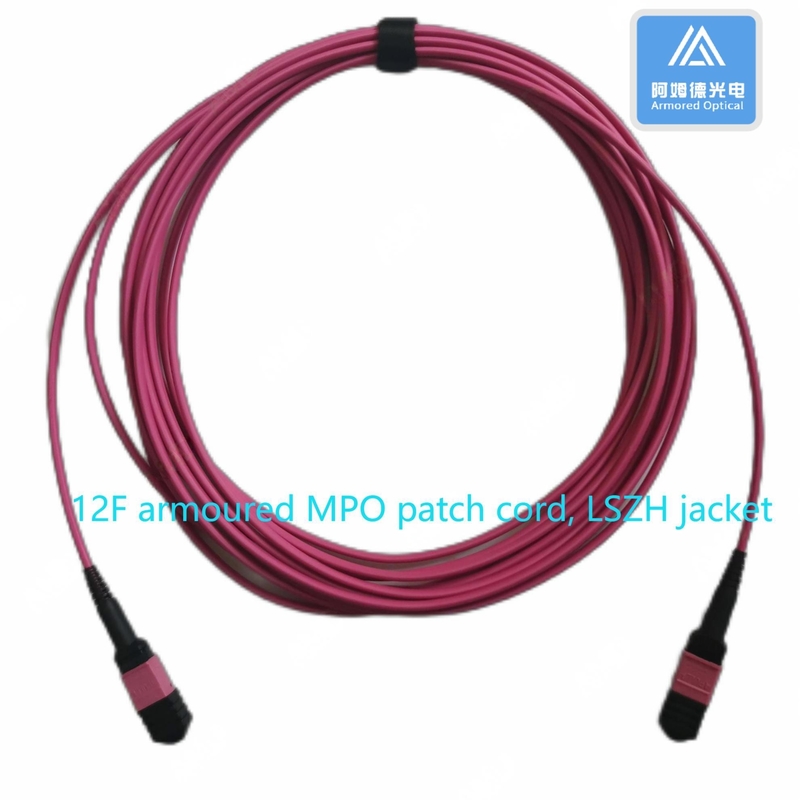 12F Armored MPO Patch Cord 5m 3.0mm LSZH 12 Core Fiber Optic Cable